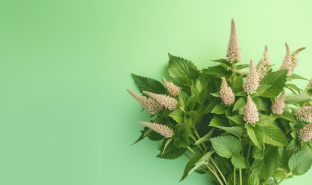 Melissa herbs. Elegant white flowers bloom amidst a vibrant green environment. AI Generativeの素材