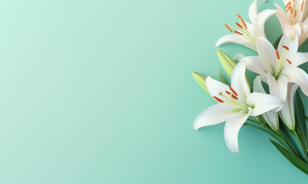 Harmonious display of opened and budding white lilies on a gentle green background. AI Generativeの素材