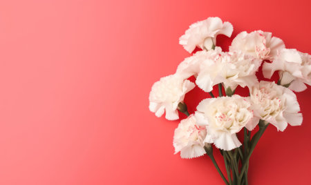 Elegant white and red carnations gracefully arranged against a vibrant red background, symbolizing purity and contrast. AI Generativeの素材