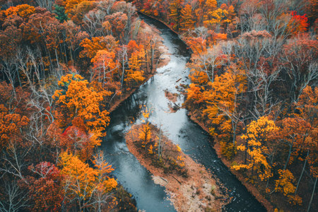 Aerial View of a Scenic River Winding Through Colorful Autumn Forest.の素材