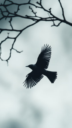 Silhouette of a bird in flight against a cloudy sky with bare branches in the foreground.の素材