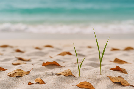 young green grass sprouting from sandy beach surrounded by dry fallen leaves with calm turquoise sea and soft waves in background.の素材