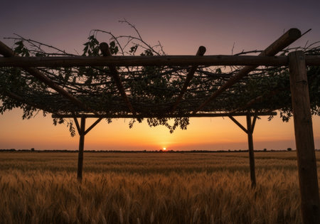 Wooden pergola casting shadows over golden wheat field at sunset, peaceful rural landscape with tranquil evening sky and warm sunlight.の素材