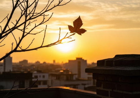 Maple leaf on bare branch at sunset above city skyline, warm glow brightening urban rooftops under golden evening sky.の素材