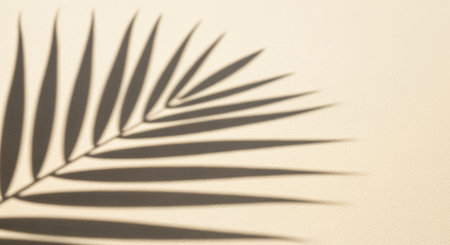 Soft palm leaf shadow on beige background creating minimal natural abstract pattern with gentle tropical sunlight and warm summer mood.の素材