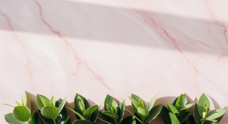 Green leaves casting soft shadows on pastel pink marble background in bright natural sunlight with minimal modern composition.の素材