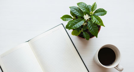 Minimalist workspace with open notebook, blooming potted plant, and cup of black coffee on white desk in natural morning light.の素材