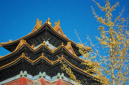 corner buildingの写真素材