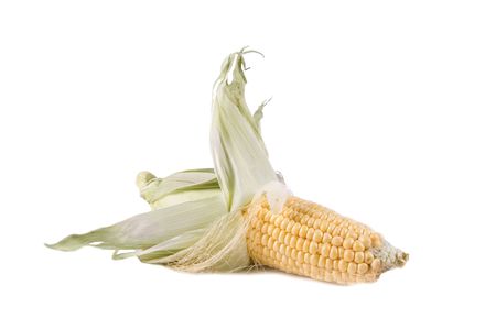 one cornの写真素材
