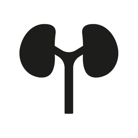 Internal Anatomy of Renal Organ Glyph Pictogram. Human Kidney Silhouette Icon. Medical Urology, Nephrology Outline Icon. Kidneys Disease, Dialysis Treatment Symbol. Isolated Vector Illustrationのイラスト素材