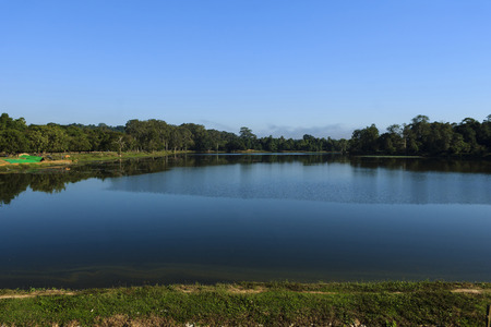Nature of Cambodia around Angkor Watの写真素材