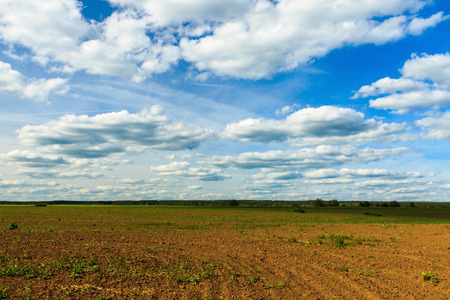 agricultural fields and deep blue sky with cloudsの写真素材