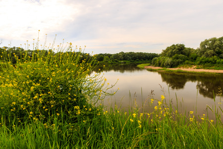Summer landscape with river and cloudy sky