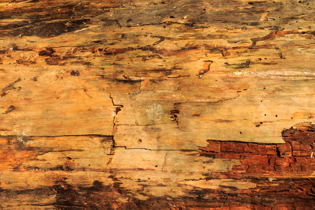 brown wood texture. Abstract background