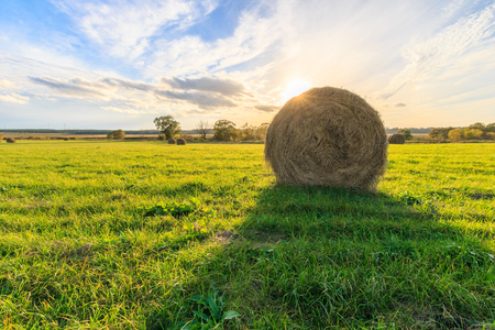 field with haystacks at sunset in early autumn eveningの写真素材