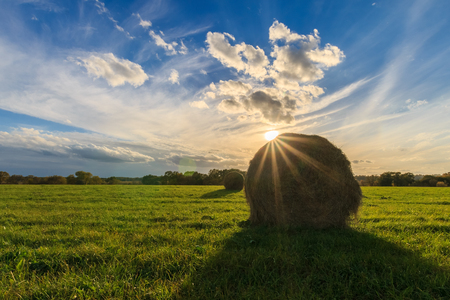 field with haystacks at sunset in early autumn eveningの写真素材