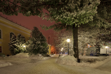 Winter park at night with decorations, lights, benches and trees.の写真素材