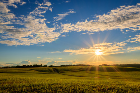 Sunset at cultivated land in the countryside on a summer evening with cloudy sky background.