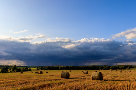 Haystacks on the field in Autumn season. Rural landscape with cloudy sky background. Golden harvest of wheat in eveneng. The coming rain.の写真素材