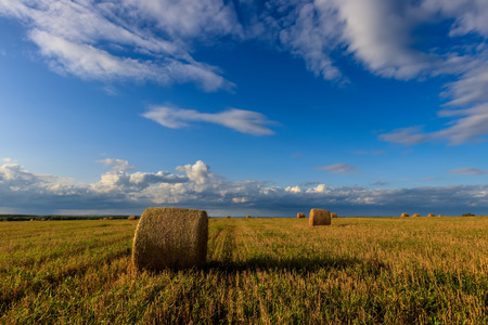 Haystacks on the field in Autumn season. Rural landscape with cloudy sky background. Golden harvest...