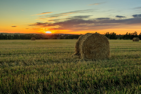 Haystacks on the field in Autumn season. Rural landscape with cloudy sky background. Golden harvest of wheat. Landscape. Twilight. Preparation of mixed fodder for animals.の写真素材