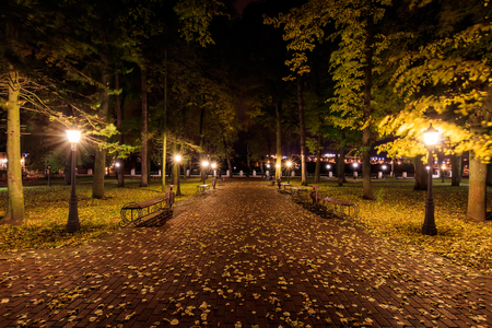 City night park in autumn after the rain with paths strewn with fallen yellow leaves and trees. Landscape.の写真素材
