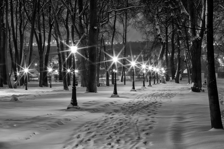 Winter park at night with decorations, lights, benches and trees. Monochrome image.の写真素材