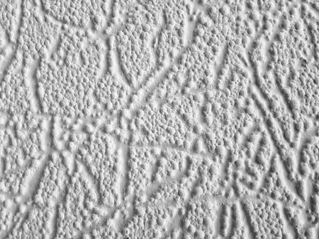Wallpaper texture. White color paper background for design. Monochrome pattern.の写真素材