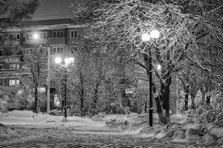 Winter park at night with decorations, lights, benches and trees. Monochrome image.の写真素材
