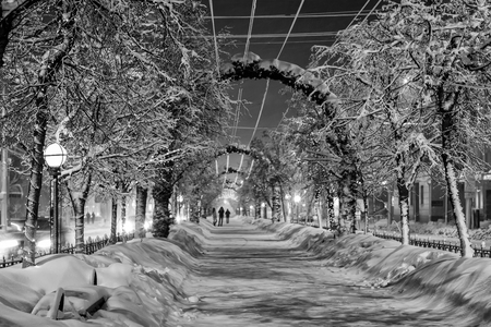 Walk of the city at night in winter. Alley with lights, trees, garlands covered with snow. Monochrome image. Cityscape.の写真素材