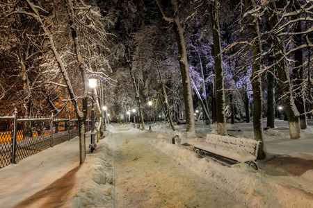 Winter park at night with decorations, lights, benches and trees. Christmas spruce on a baxhground.の写真素材
