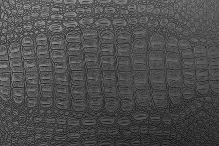 Monochrome crocodile leather texture. Abstract background for design.