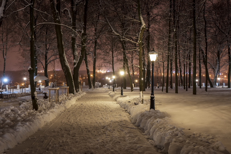 Winter park at night with decorations, lights, benches and trees. Snow landscape.の写真素材