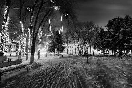 Winter park at night with decorations, lights, benches and trees. Snow landscape. Monochrome.の写真素材