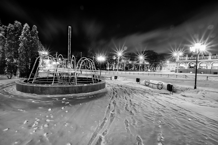 Winter park at night with decorations, lights, benches and trees. Snow landscape. Monochrome.の写真素材