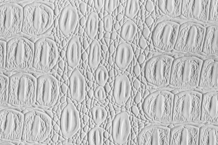 White crocodile leather texture. Abstract background for design. Monochrome.の写真素材