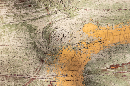 Texture of a old board or plank with peeling paint. Abstract background for design.の写真素材