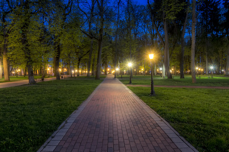 City night park in early summer or spring with pavement, young green leaves and trees. Landscape.の写真素材