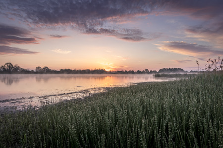 Scenic view of beautiful twilight or sunrise above the pond or lake at spring or early summer morning with cloudy sky background, fog over water and reed grass with dew at foreground. Landscape. Water reflection.の写真素材