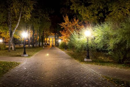 City night park in autumn with paths strewn with fallen yellow leaves and maple trees. Landscape.の写真素材