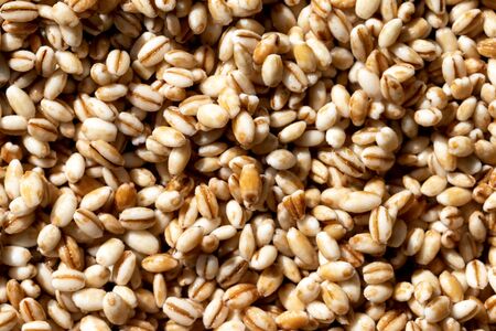 Barley grains background or texture. Gluten-Free and healthy vegeterian food.の写真素材