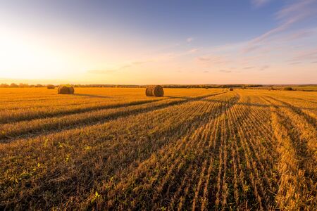 Sunset on the field with haystacks in Autumn season. Rural landscape with cloudy sky background....