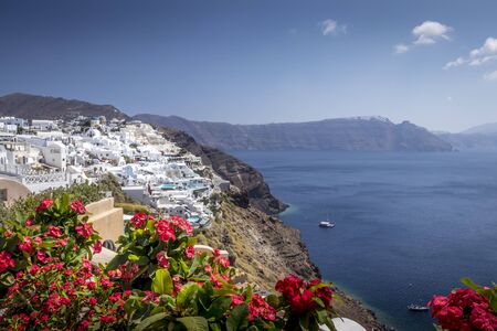 Oia city on Santorini island on a clear sunny day with red flowers on a foreground. Cliff overlooking the sea and the caldera.の写真素材