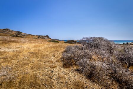 Chrissy island scenery on a sunny summer day with dry trees, brown soil and blue clear sky with...