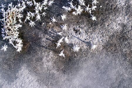 Grass covered with hoarfrost on a sunny clear day in late autumn or early winter. A closeup with prominent ice crystals.の写真素材