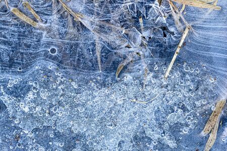 Texture of grass in ice in the winter. Abstract background for design, photographed closeup.