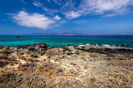 Chrissy island scenery on a sunny summer day with dry trees, brown soil and blue clear sky with haze. Crete, Greece. The southernmost island of Europe with a dry African climate.の写真素材