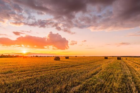 Scene of sunset on the field with haystacks in Autumn season. Rural landscape with cloudy sky...