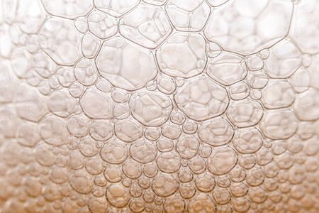 Texture of foam in light beer. Abstract backdrop for design.の写真素材