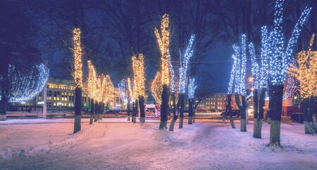 Winter park at night with christmas decorations, lights, bench on a foreground, pavement and trees.の写真素材